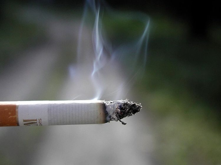 SMOKING AND THE DANGERS OF IT
