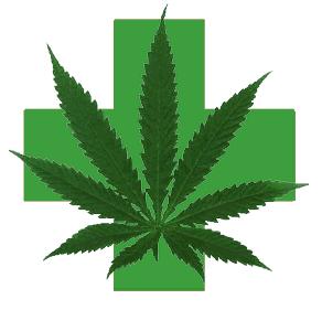 Australia Legalise Marijuana For Medical Purposes