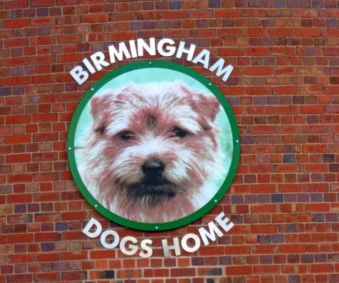 Boss Of Birmingham Dogs Home Arrested For Nicking £450,000