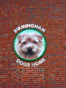Boss Of Birmingham Dogs Home Arrested For Nicking £450,000