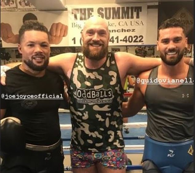 Fury In Serious  Sparring Training At Big Bear Camp