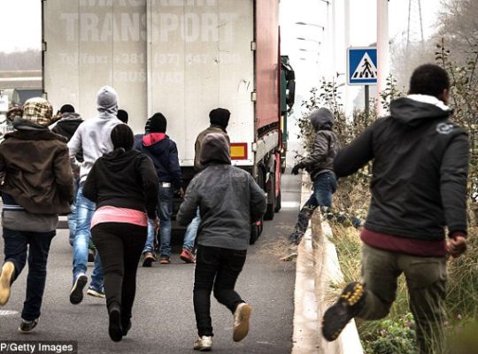 Immigration Officials Discover 17 Children In Refrigerated Lorry