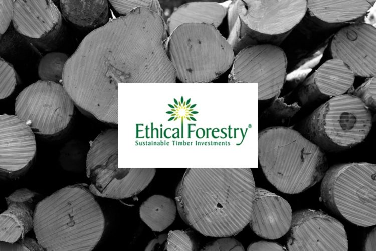 Directors Of Ethical Forestry Limited Banned After Withdrawing £7m From Tax Scheme