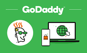 Go Daddy Expert Premium Team Mess Up Site After Collecting  Fee