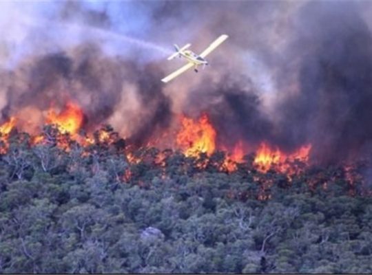 Australian Fire Chiefs Blame Climate Change For Escalating Bush Fires