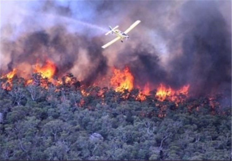 Australian Fire Chiefs Blame Climate Change For Escalating Bush Fires