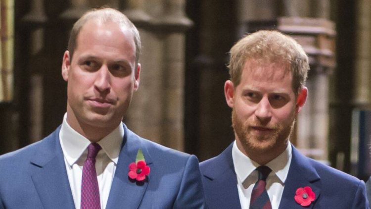 Prince William and Prince Harry Resolve  Their Differences