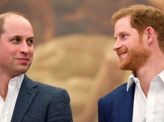 Prince Harry And William Release Statement Condemning False Newspaper Article