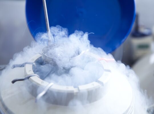 British Government Consultation On How Long Frozen Sperm Can Be Stored