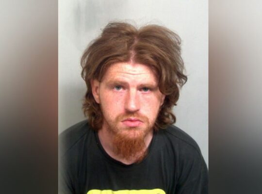 Paedophile Jailed For 9 Years For Sustained Child Abuse