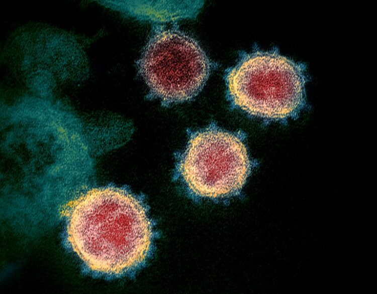 Lowest Daily Rise In Coronavirus Deaths Raises National  Hopes