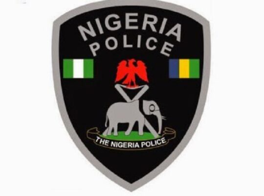 Nigerian Police Arrest Man For Over 40 Rapes In Northern Nigeria