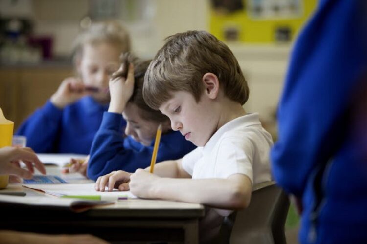 Research: Twenty Percent Of Pupils At Home Do No Homework