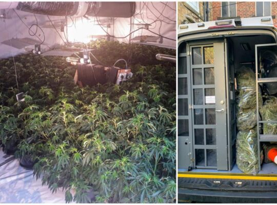 Kirklees Cops Discover Cannabis Farm At Bradford Building