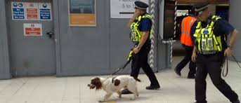 New Drug Dogs In Uk Trained To Stop Illegal Items In Prisons