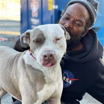 Homeless Man Who Saved Dogs And Cats From Fire Amasses $45k On Go Fund Me