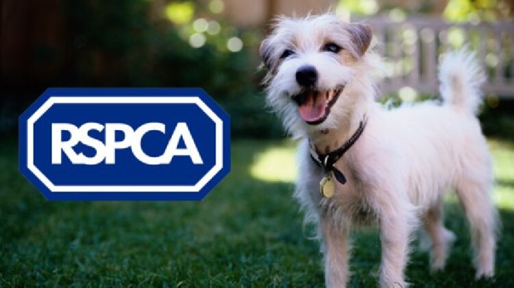 RSPCA Investigates Drowned Dog Found Tied To Lawnmower