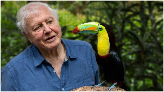 Sir David Attenborough Awarded Lifetime Achievement Award