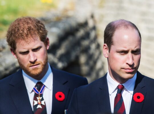 Prince Harry And Prince William’s Settled Feud Examined
