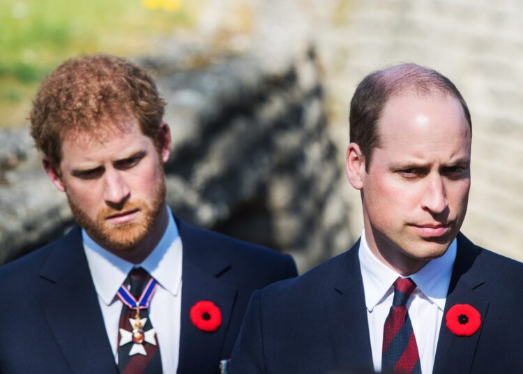 Prince Harry And Prince William’s Settled Feud Examined