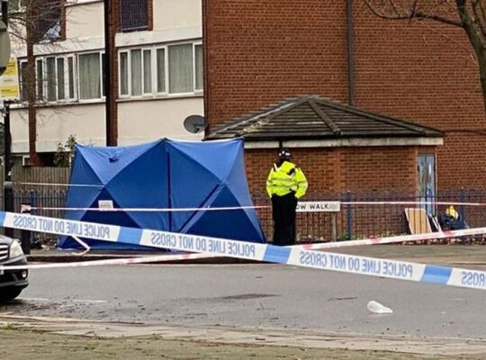 Police Probe Second Murder On West Green Road In One Month
