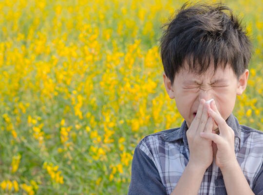 Researchers Suggest Pollen Exposure Can Increase Risks Of Getting Covid-19