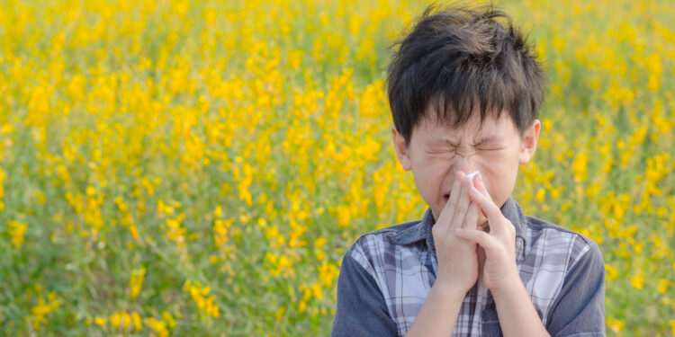 Researchers Suggest Pollen Exposure Can Increase Risks Of Getting Covid-19