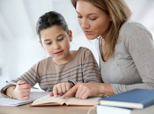 Researchers’ Brilliant Guidelines For Ambitious Parents Developing Their Kids Academically