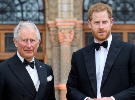 British Press Unwittingly Adding Strain To Prince Harry’s Relationship With His Father