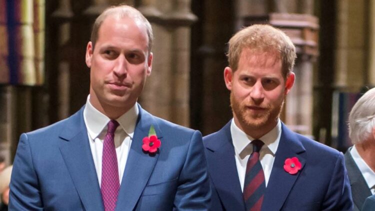 Prince Harry And Prince William Unite To Unveil Diana Statue