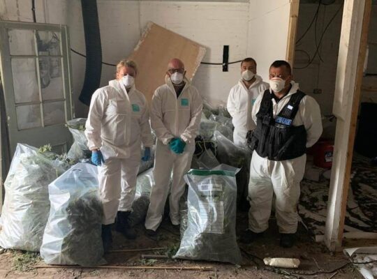 Two  Men Face Jail After Cops Find Them Hiding In Property With £750,000  Cannabis Grow