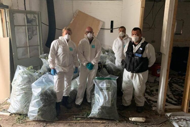 Two  Men Face Jail After Cops Find Them Hiding In Property With £750,000  Cannabis Grow