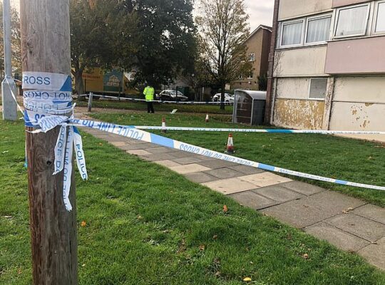 Murder Probe Launched  In Essex After Woman Thrown From  High Rise Flats Dies