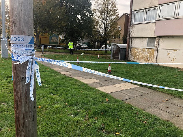 Murder Probe Launched  In Essex After Woman Thrown From  High Rise Flats Dies