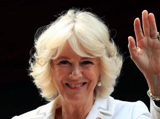 Duchess Of Cornwall Favourite Book To Inspire Children To Read