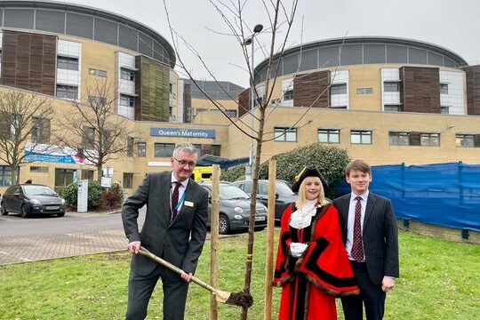 Politicians and Nhs Staff Plant Covid-19 Memorial Tree Outside Romford Hospital