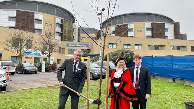 Politicians and Nhs Staff Plant Covid-19 Memorial Tree Outside Romford Hospital