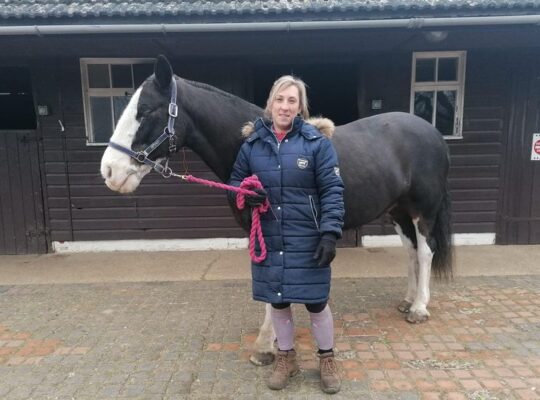 Lovable Horse Which Helps Disabled Children In Need Of Medical Treatment