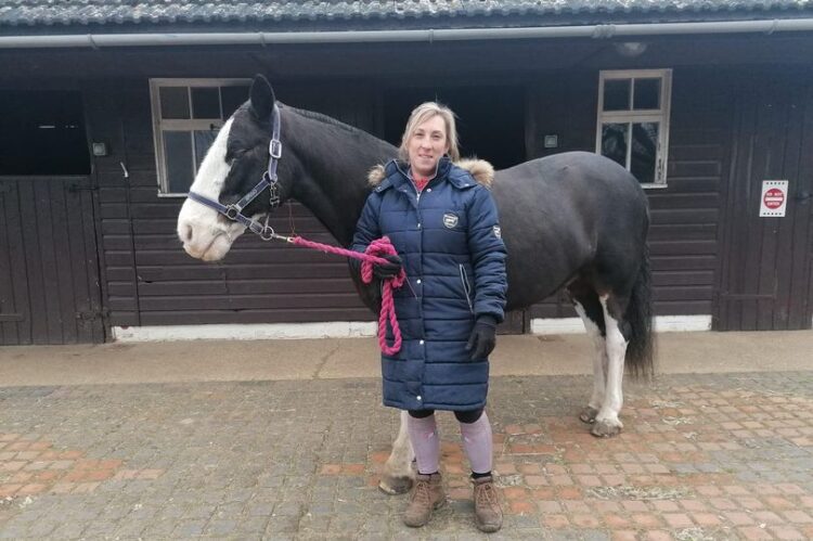 Lovable Horse Which Helps Disabled Children In Need Of Medical Treatment