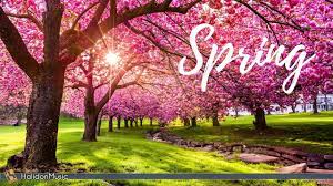 Seven Days Of Sunshine Set To Follow UK Spring