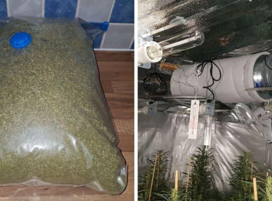 West Yorkshire Police Discover Cannabis Factory Worth £2m