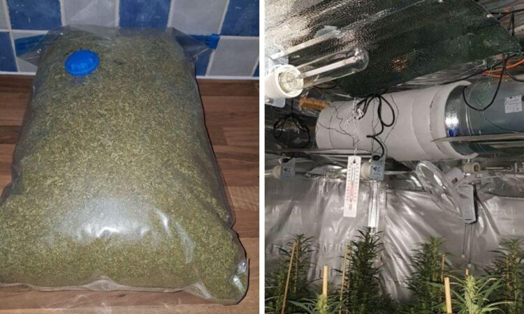 West Yorkshire Police Discover Cannabis Factory Worth £2m