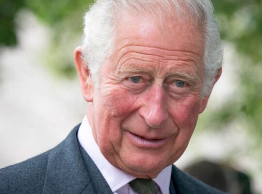 King Charles Calls For Princess Anne And Prince Edward To Deputise For Him