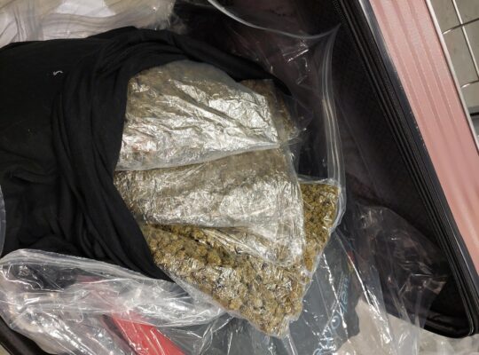National Crime Agency Officers Seize 50 Kilos Of Cannabis At Heathrow Airport From Los Angelis Flight