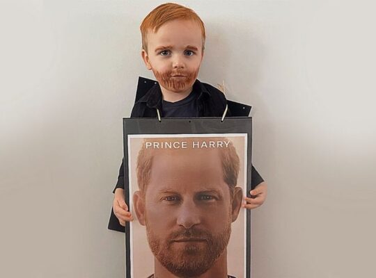Three Year Old Transformed Into Prince Harry On World Reading Day