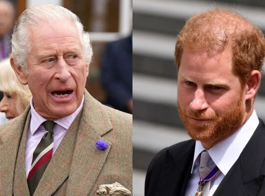 High Court Hears That King Charles Tried To Stop Prince Harry’s Hacking Claim Against Murdoch’s Newgroup