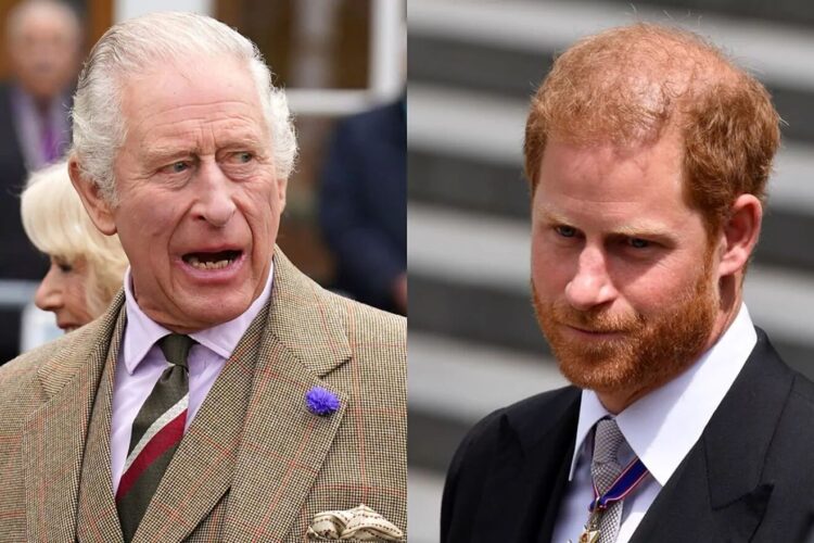 High Court Hears That King Charles Tried To Stop Prince Harry’s Hacking Claim Against Murdoch’s Newgroup