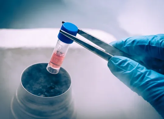 Decades Of Groundbreaking Advancement In Stem Cell Research