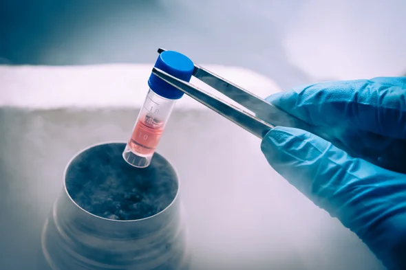 Decades Of Groundbreaking Advancement In Stem Cell Research