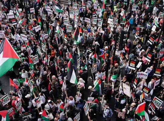 How Hundreds Of Thousands Of Pro Palestinian Activists Swarmed London On Armistice Day